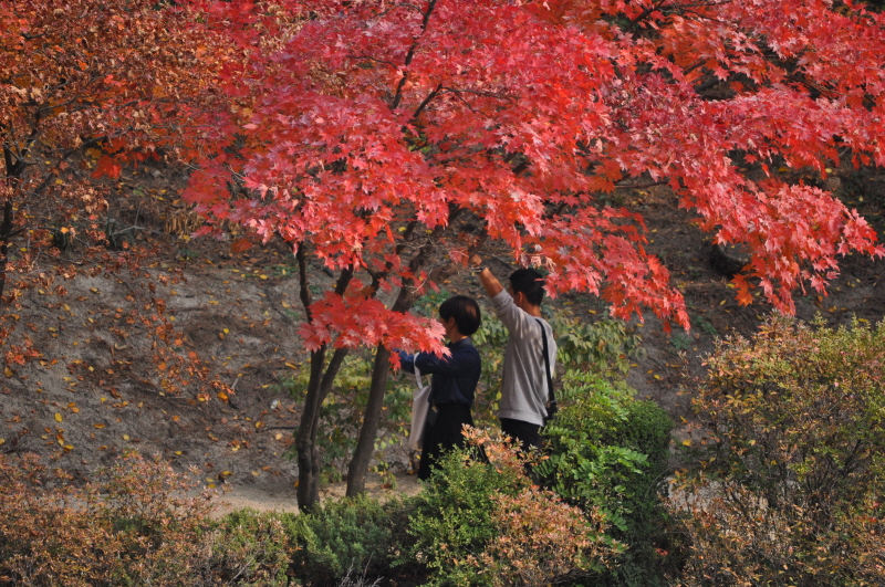 강원대학교 연적지